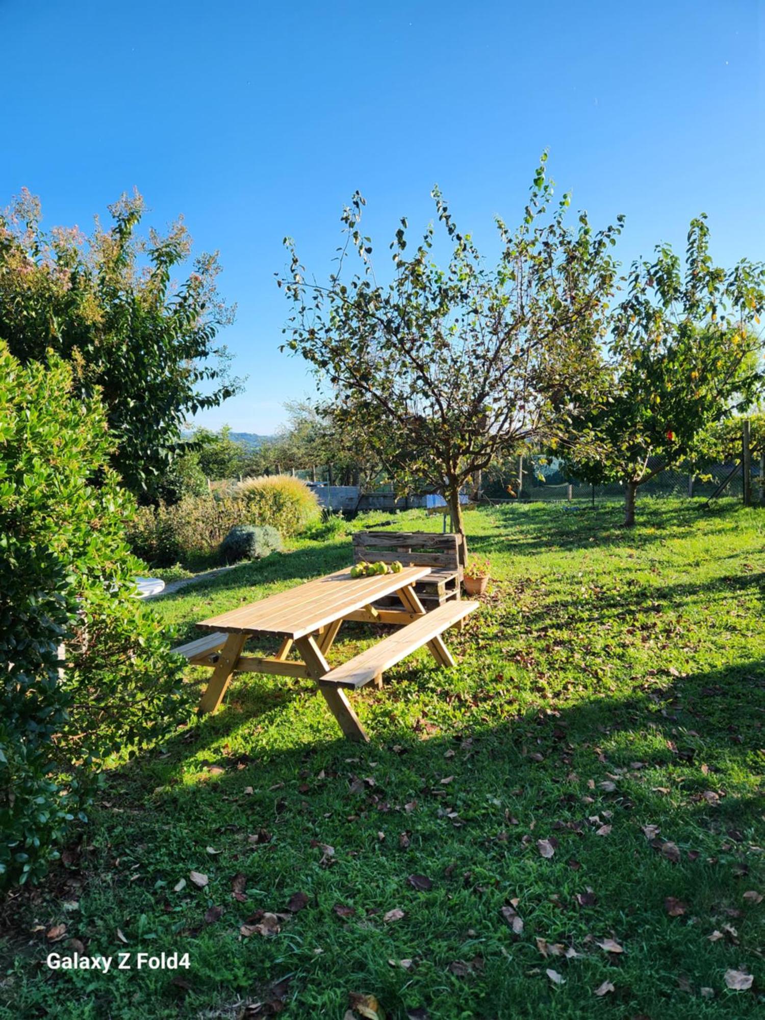 Les Figuets Chateauneuf-de-Galaure Exterior foto
